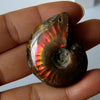Artificial Ammonite Fossil Pendant Necklace, Iridescent Spiral