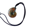 Black cord necklace with a spiral ammonite fossil pendant showing rainbow colors