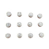 Twelve round silver charms showing the Chinese zodiac animals arranged on a white background