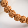 Indonesian Five-Petal Rudraksha Bracelet with Vintage Style