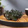 Color Changing Tea Pet Figurine, Feng Shui Wealth Toad and Pixiu Charm