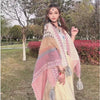 Tibetan Shawl Blue Beige Red Wavy Pattern Winter Warm Tassel Scarf