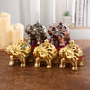 Group of five elephant-shaped incense burners in different metallic finishes on a wooden table.