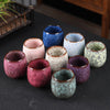 A collection of small colorful ceramic teacups with crackled glaze patterns on a dark table